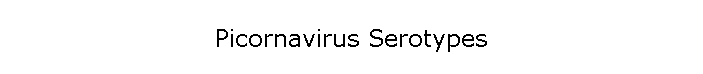 Picornavirus Serotypes