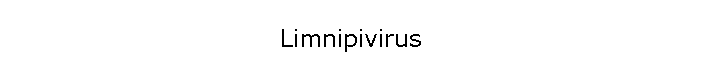 Limnipivirus