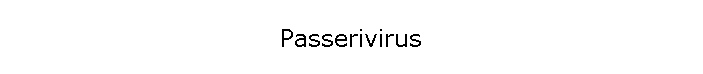 Passerivirus